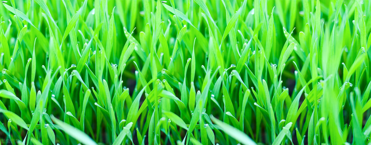 风雨过后是彩虹励志句子,风雨过后是彩虹带字图片早安