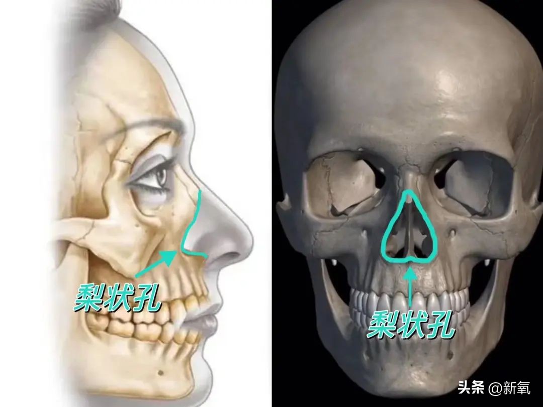 改一点赢很大？她整完鼻子直接美成断代神颜…