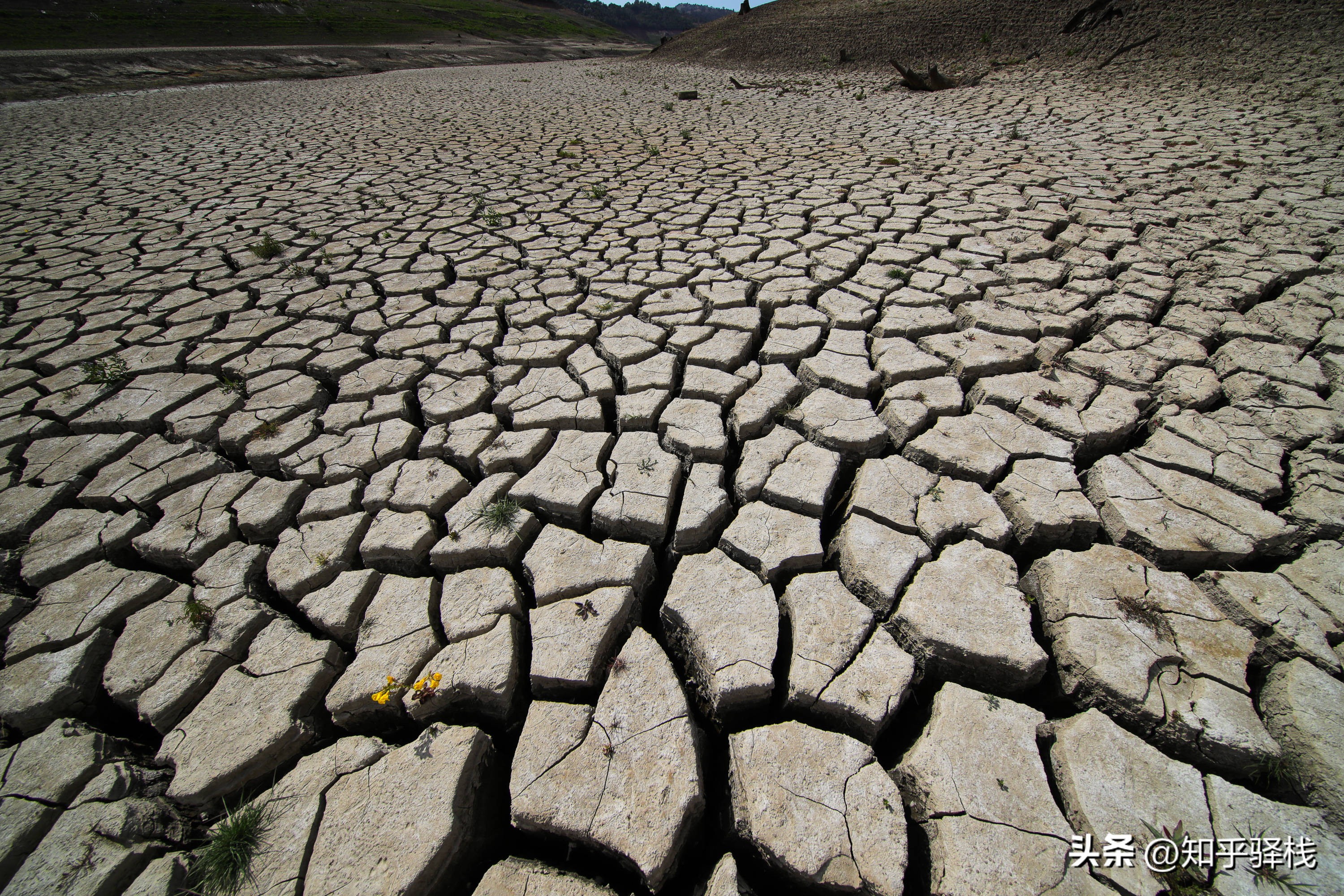 炎热的夏天股市,热浪股市