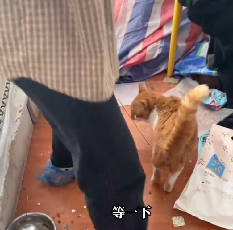 成都一女生遭遇“恋踩癖”男子骚扰，专家警告可能转化为犯罪行为