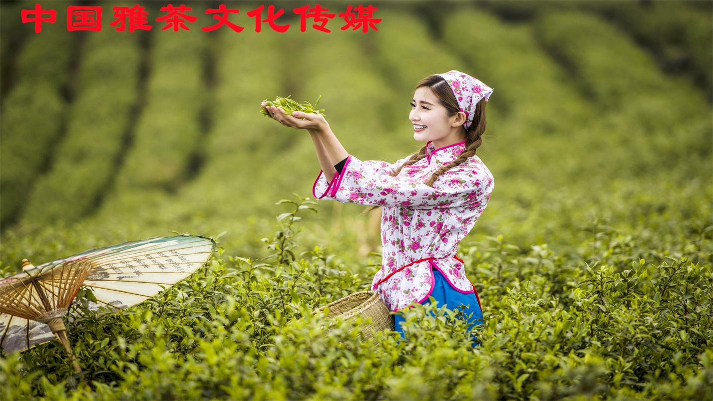 张云夏:看过人生繁华,还是平淡最真