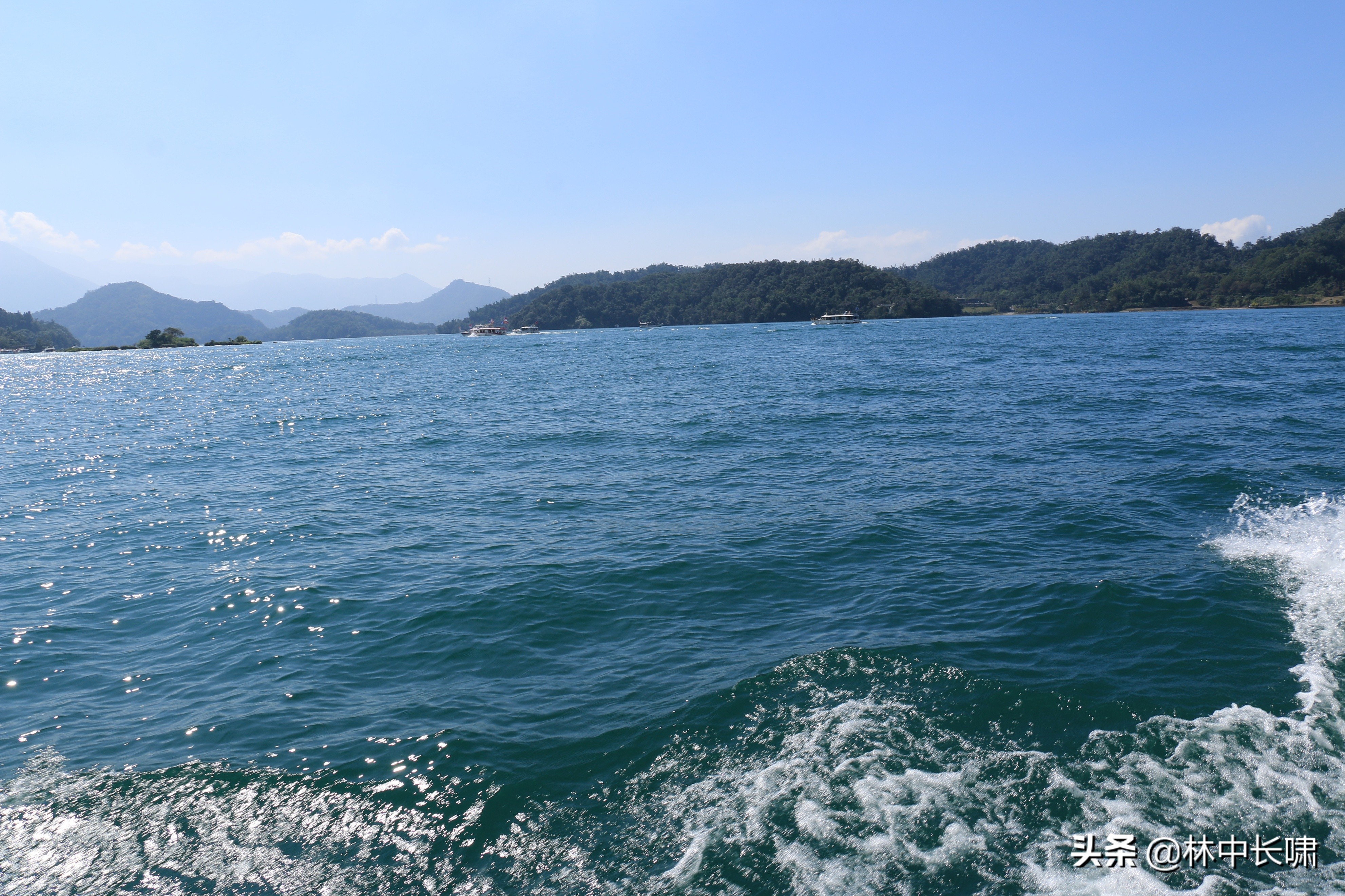 正宗日月潭香菇茶叶蛋,日月潭的茶叶蛋