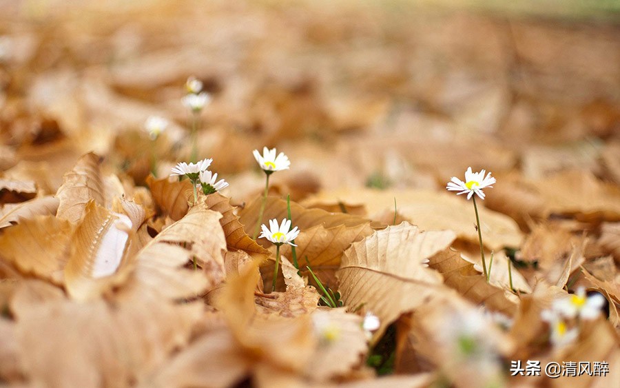 朋友当不了恋人文案短句,非朋友关系文案句子伤感