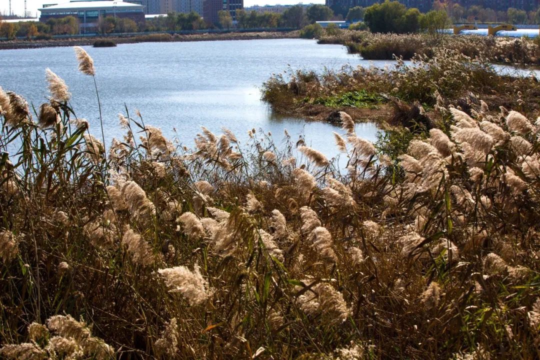 世界杯足球开赛时间表,世界杯起源于中国吗