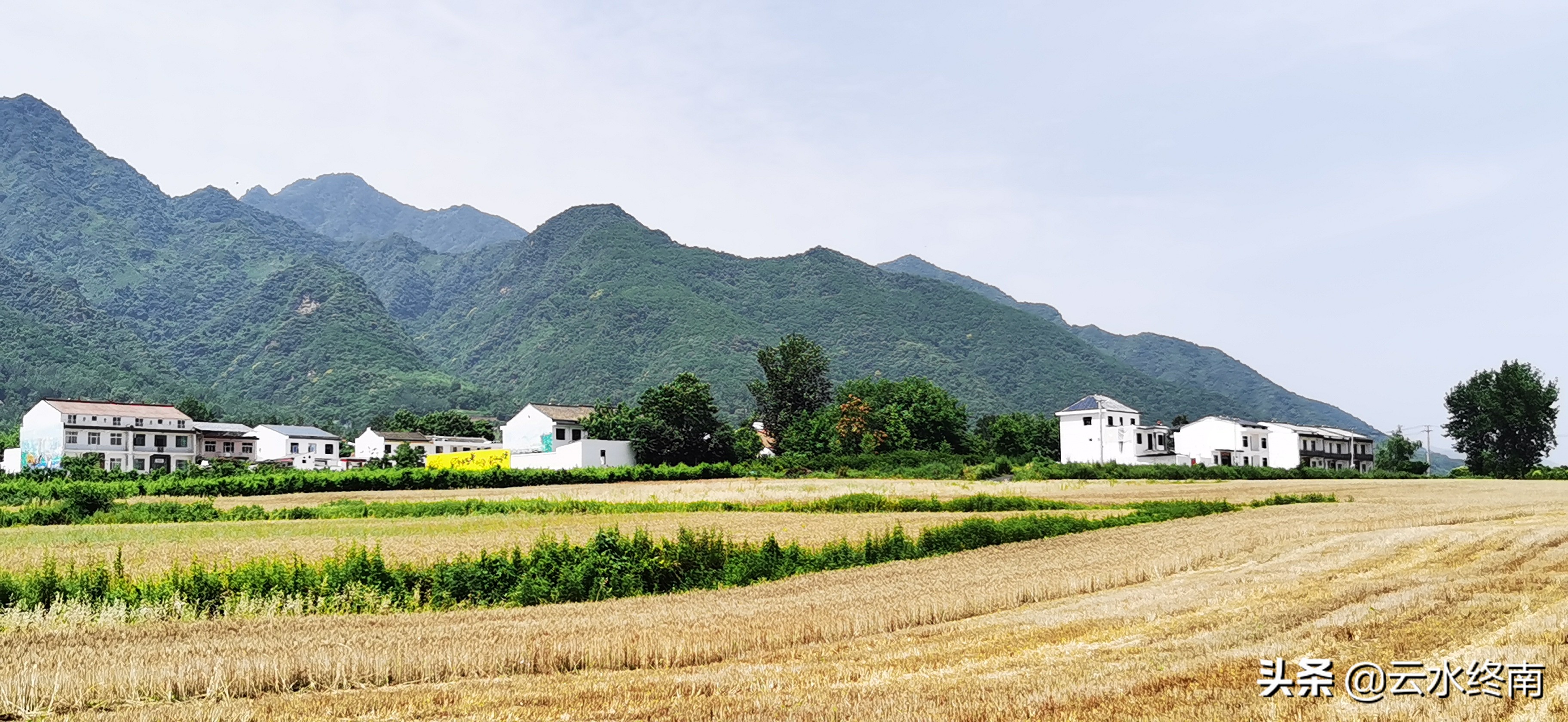 鄠邑区文化旅游节,鄠邑忙罢艺术节开幕直播