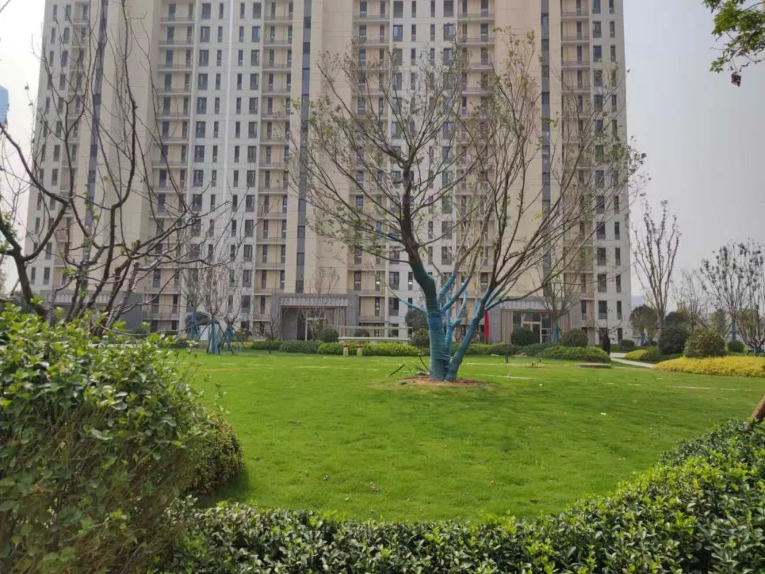 雪山万科城a11地块的优缺点,雪山万科城a10地块97平