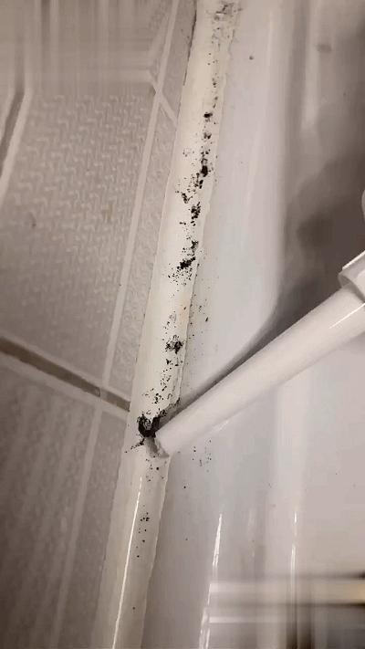 打扫房间必备好物,懒人清洁房间好物