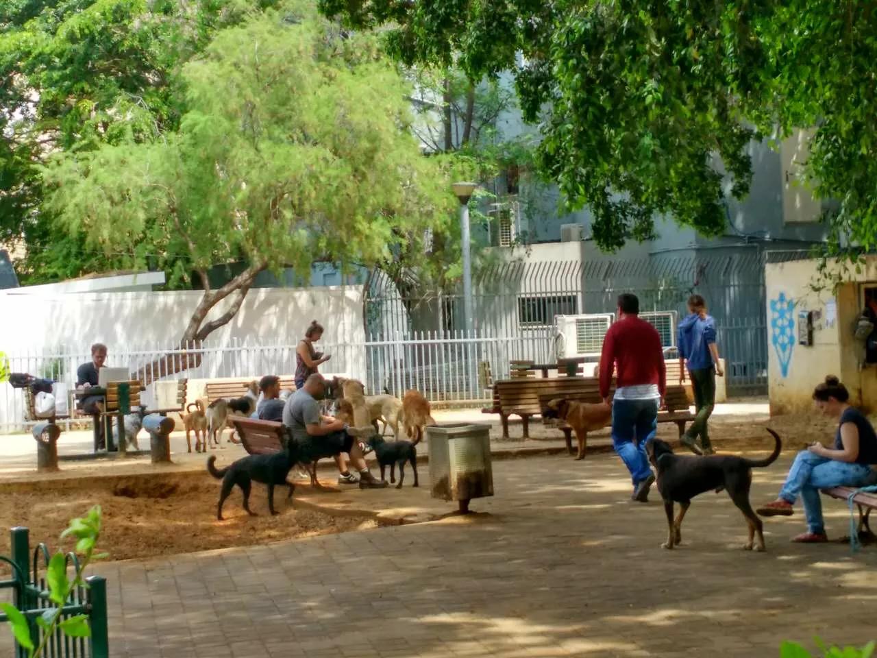 以色列犹太民族的惨痛心酸历史,以色列犹太民族历史