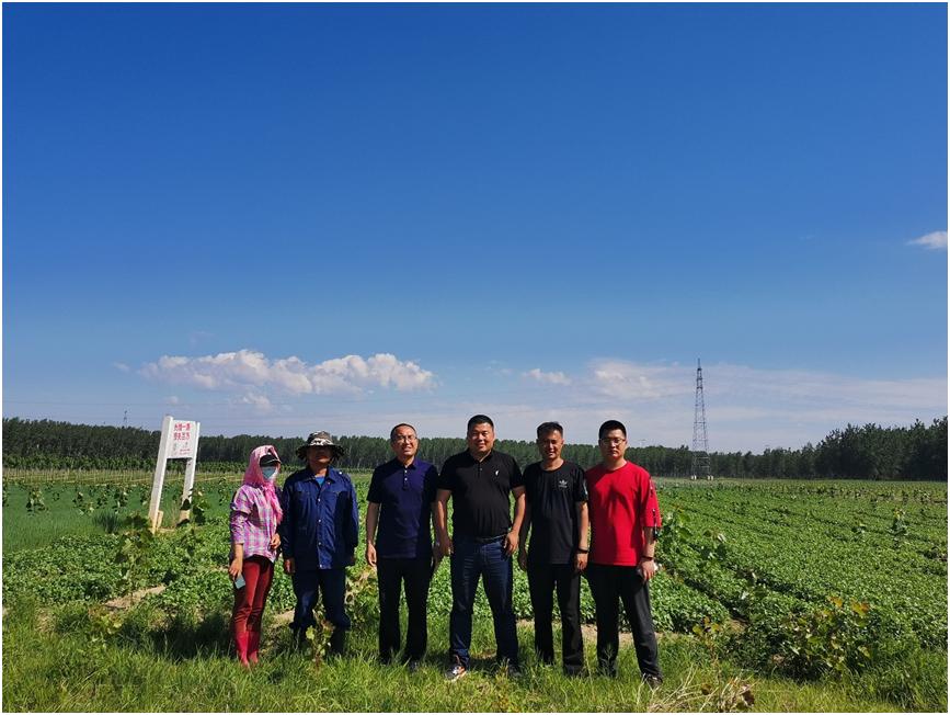 林农复合经营,林农融合经济模式