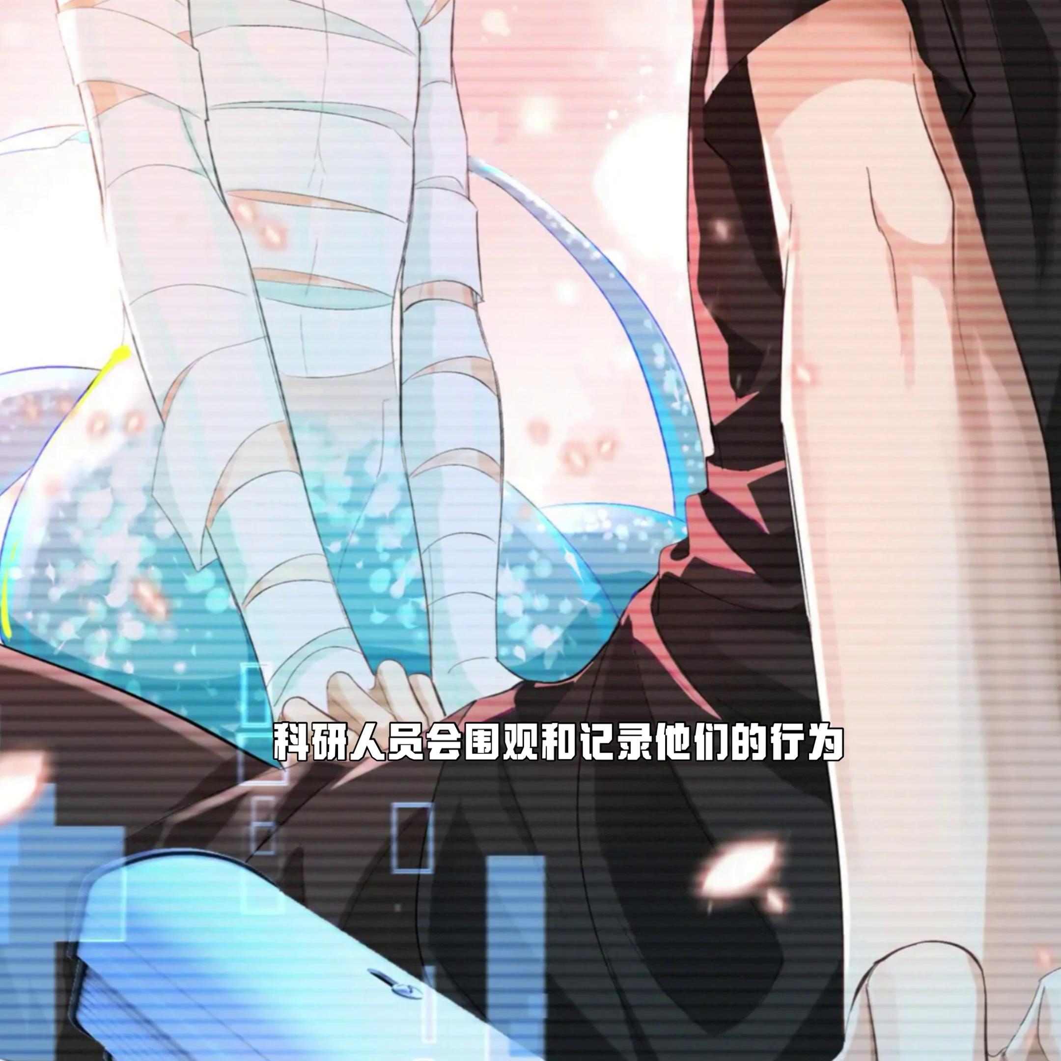 兰波白楚年,兰波白楚年cp名叫什么