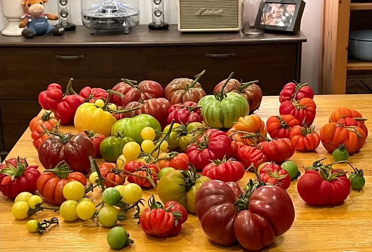 阳台种菜的方法和技巧大全集,阳台种菜室内种菜