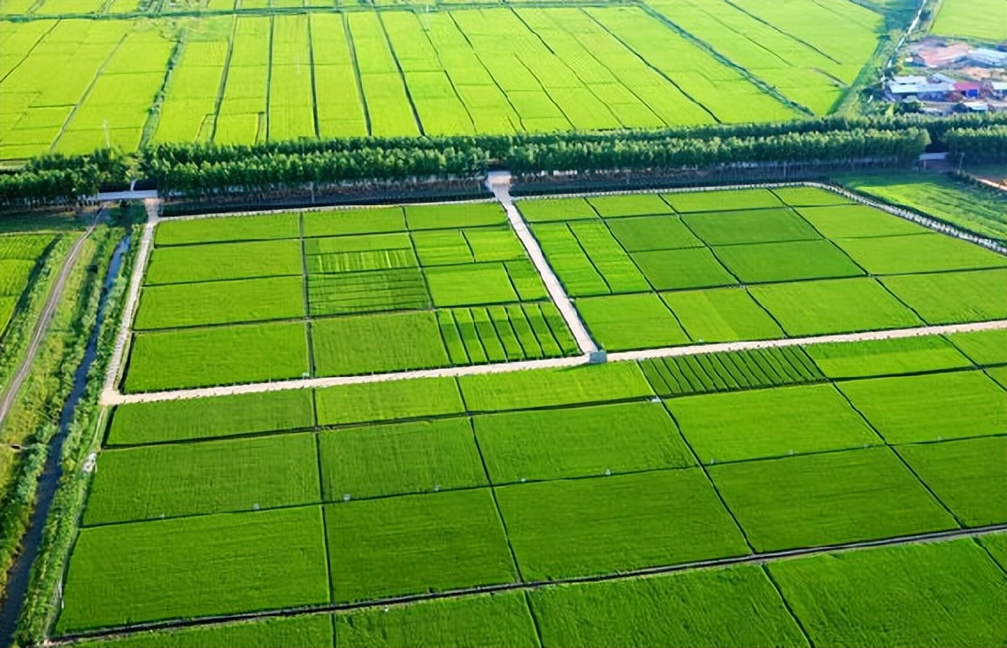 农业技术进步的现状思考与对策,农业科技发展现状和趋势