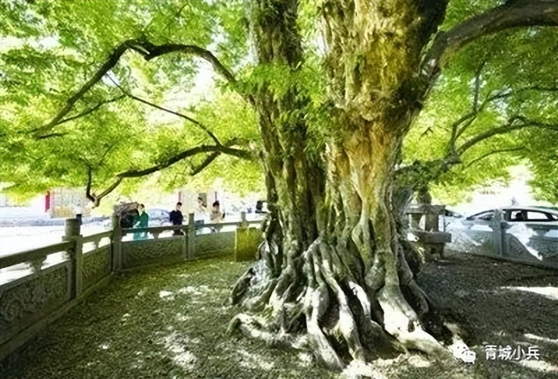 青阳县酉华镇的“九井十三坑”