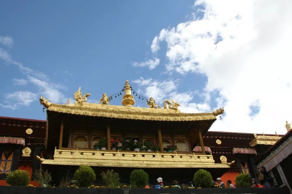 韪忚抗瀵婚煶,韪忚抗瀵昏釜