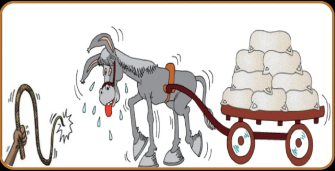 心衰的一般治疗和常用治疗药物,心衰指南药物治疗最新