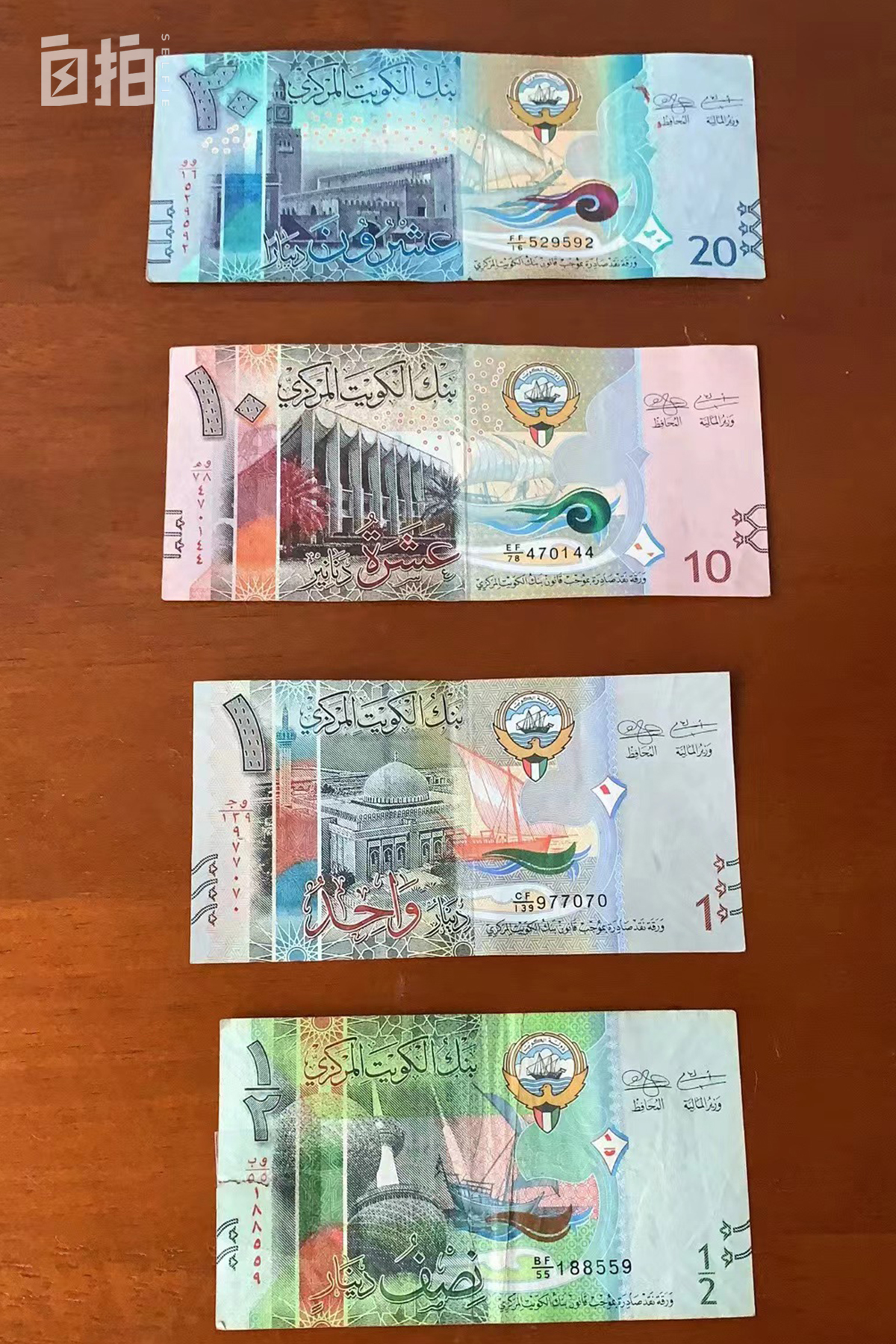 我，东北女人，离婚后，独闯中东20多年，在国内买下4套房