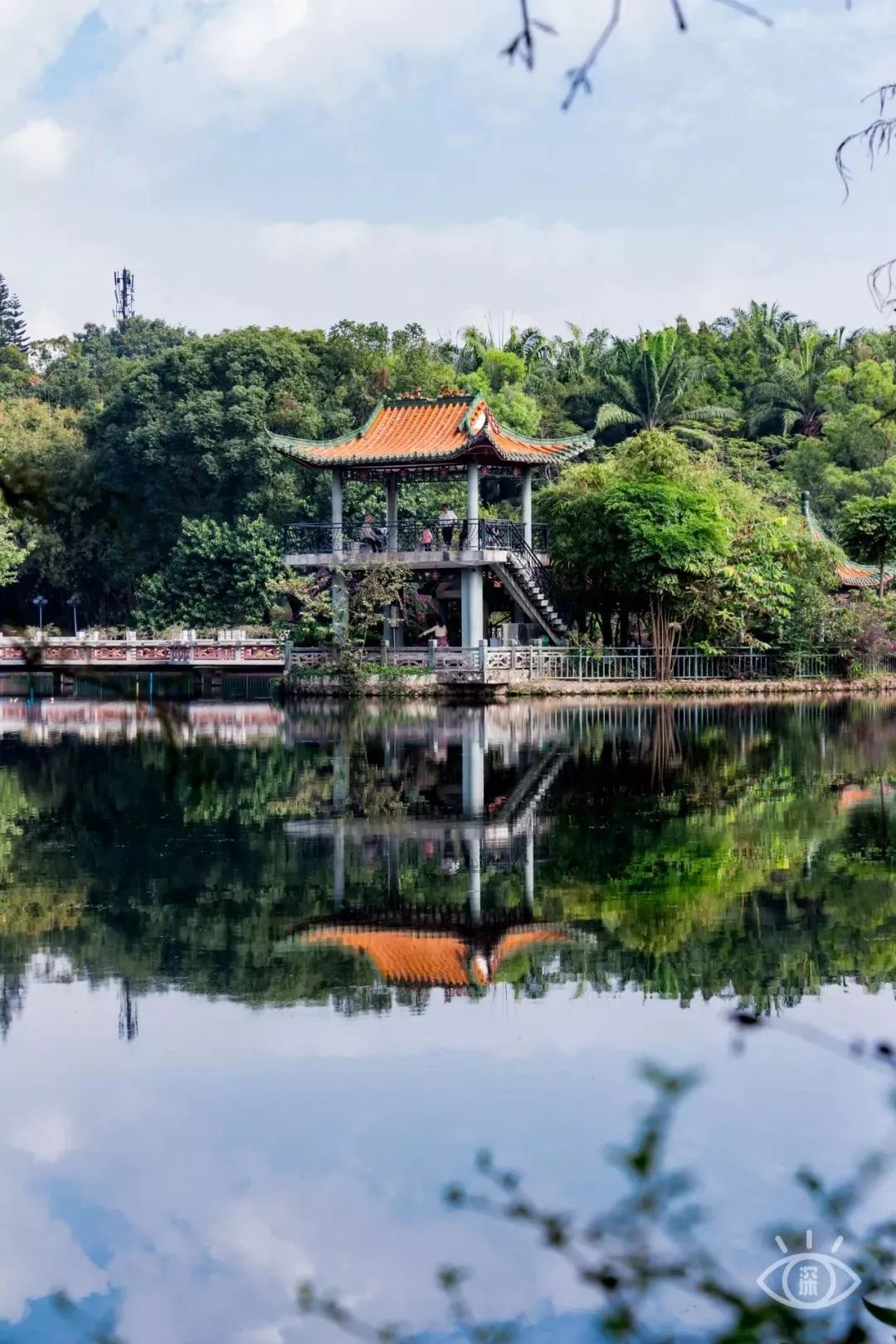 龙岗周末必去的地方推荐,龙岗又可以吃又可以玩的地方