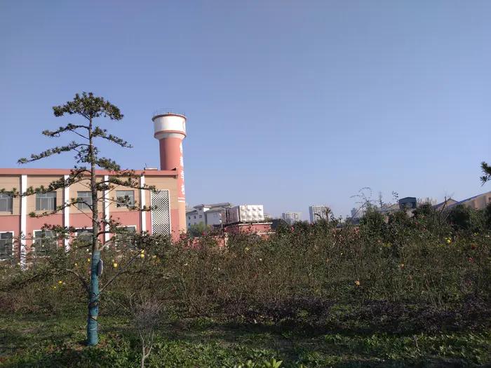 画与景,幼儿长卷画景