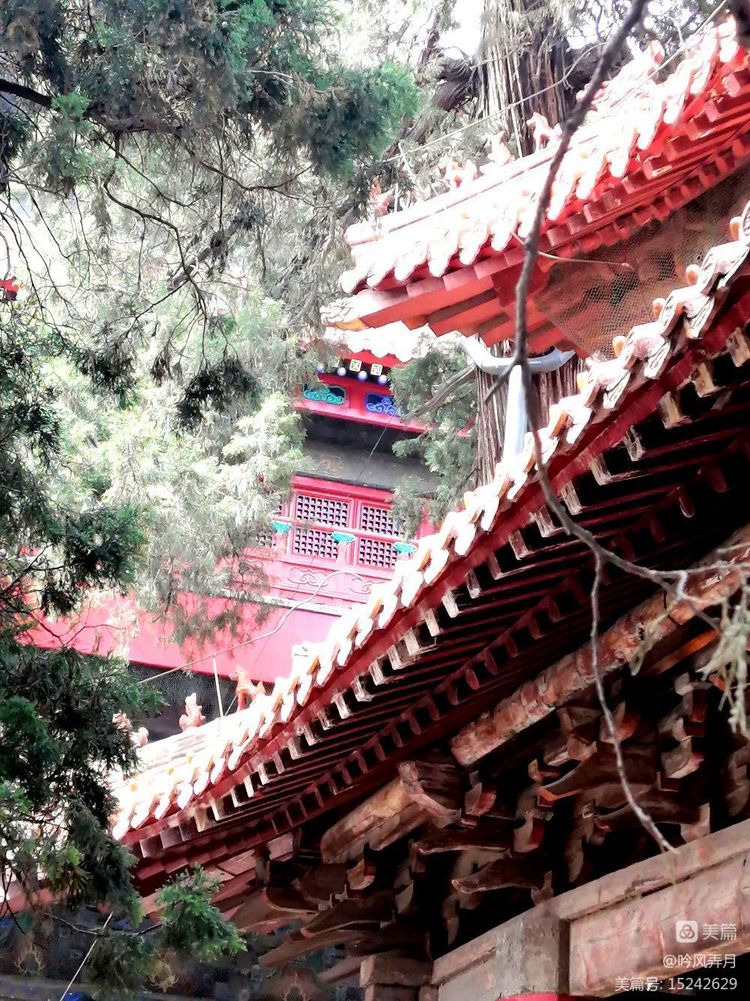 曲阜三孔介绍文章,曲阜三孔朗诵