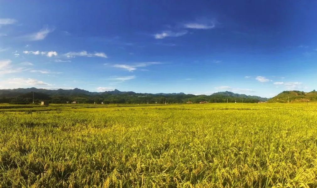 整村运营,整村运营顶层策划