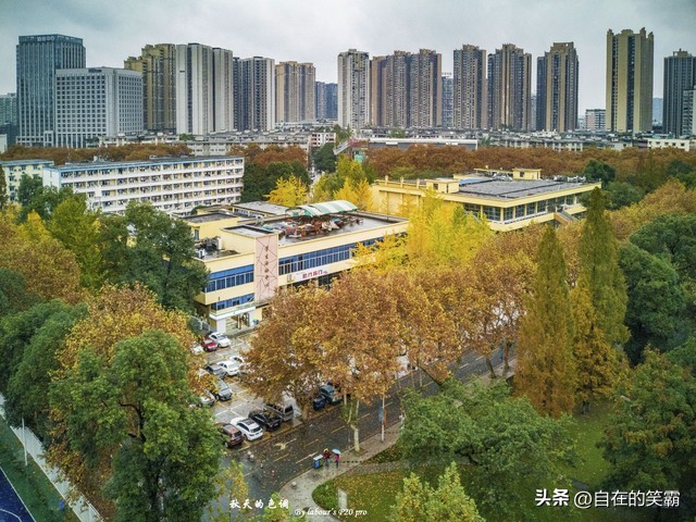 南京大学和华科计算机专业比较,电子科技大学和北京大学哪个好