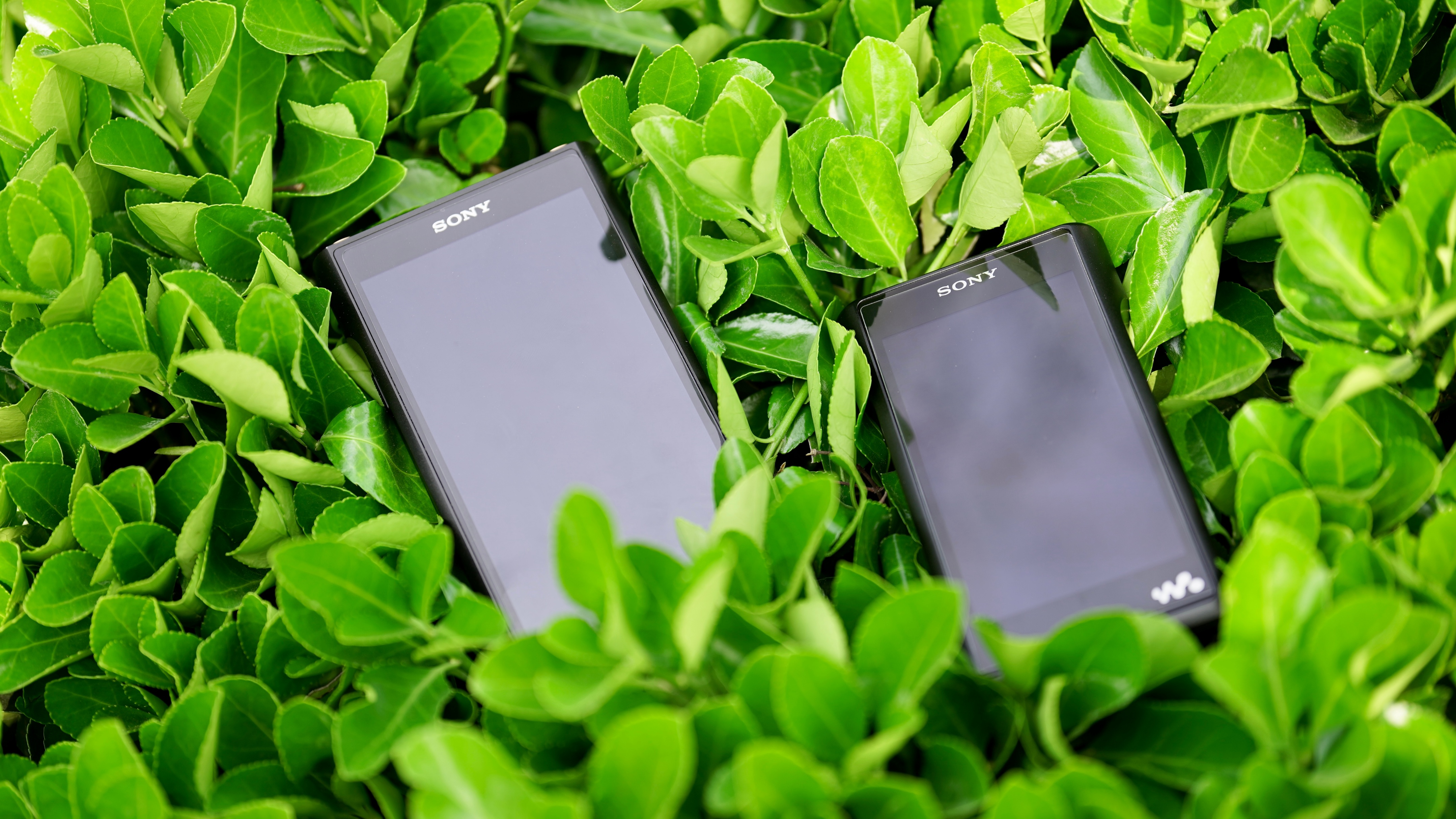 索尼walkman单放机,索尼walkmanwm2