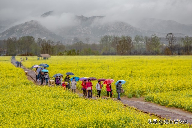 清明节如何祭祖细节一定要注意,清明节祭祖通用祭文示例