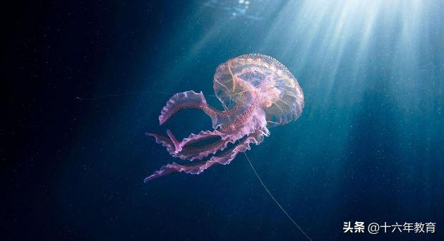 高一期末生物复习必备知识点,高考生物常考点总结