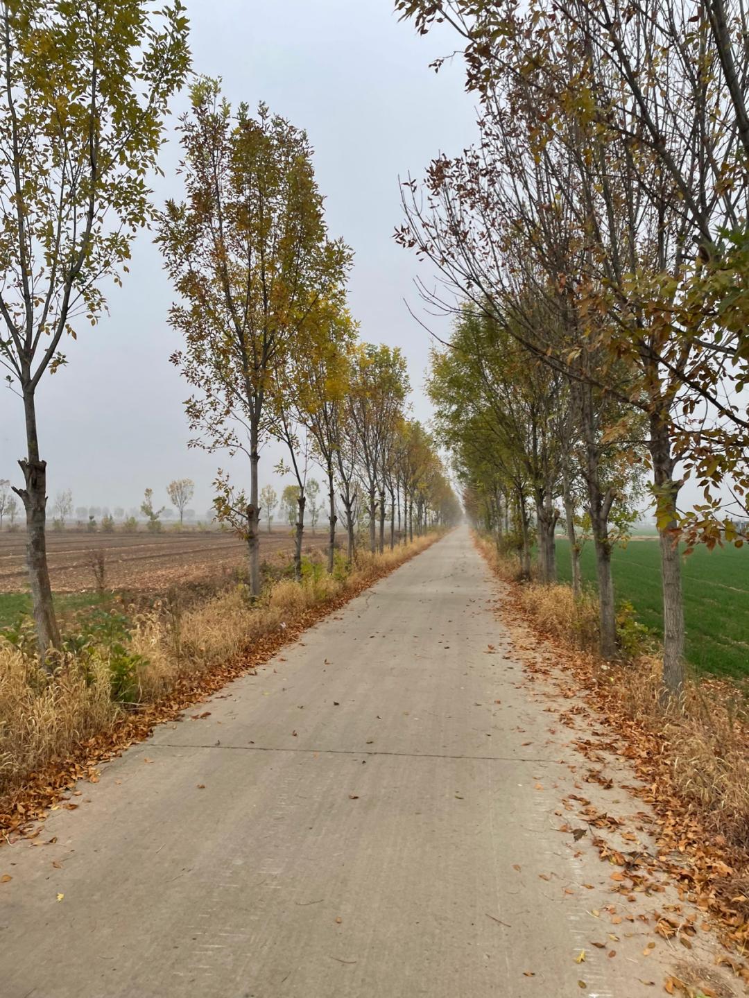 董董骑行山东,山东菏泽巨野县怎么样