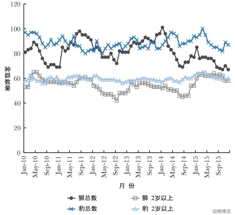 豹子丧命,豹子的悲惨下场视频