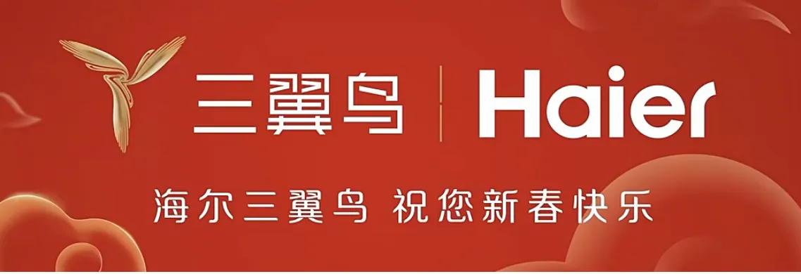 春晚广告的变化史,2024年央视春晚前广告