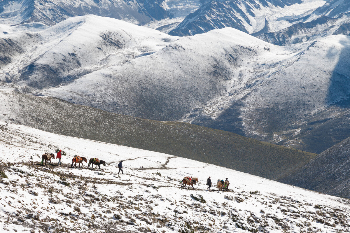 严冬里的猎人——（七）雪地猎杀