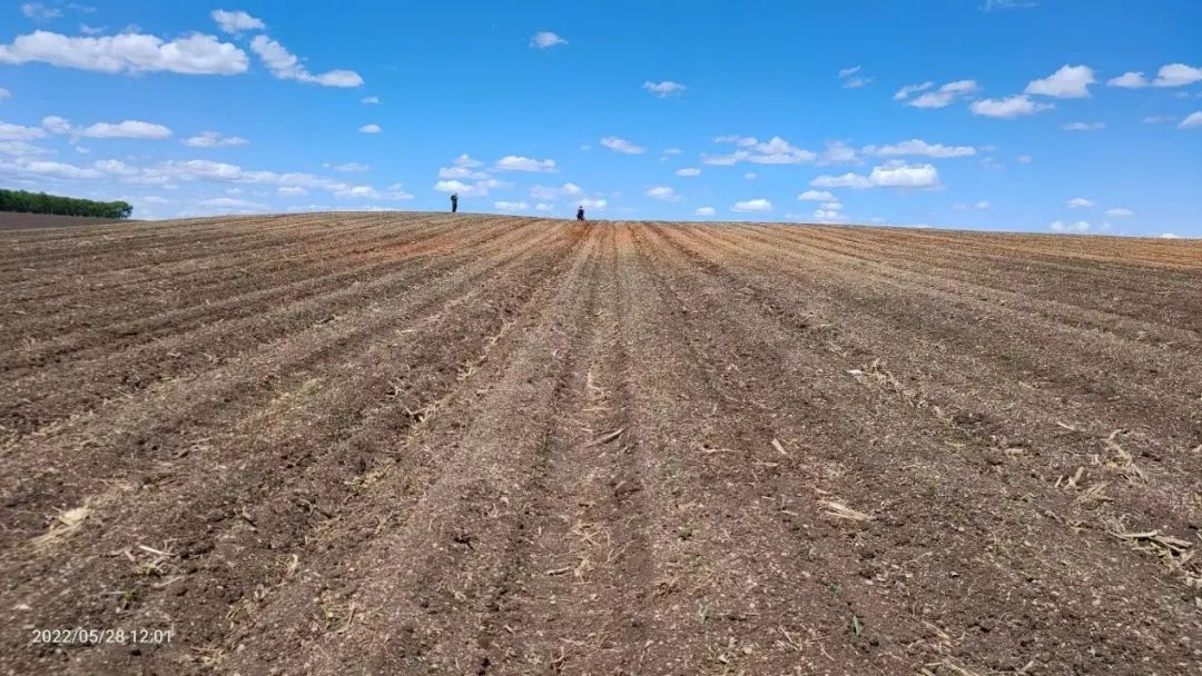 东北黑土退化的原因及措施,东北黑土退化的原因及治理措施