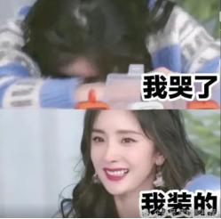 内娱小天后杨幂,内娱杨幂地位