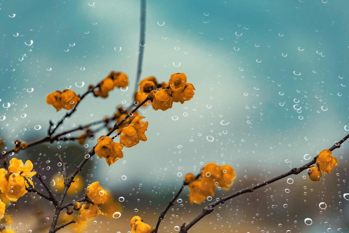 男人删除女人微信还能挽回吗,男朋友把我删除了还能挽回吗