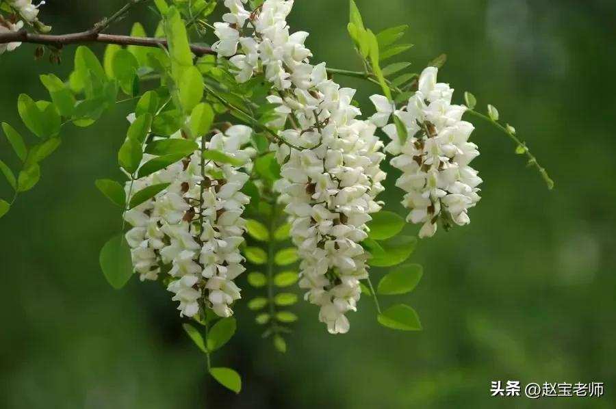 高手在民间免费观看完整版,高手在民间没有行医资格全部视频