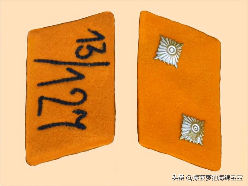 纳粹冲锋队用的什么枪,纳粹德军军衔图解