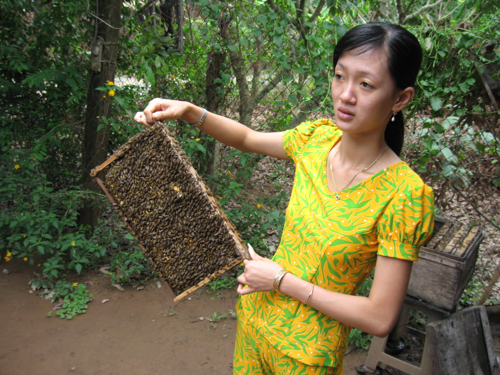 以前的西贡市和现在的胡志明市 (柬埔寨西贡和越南西贡)