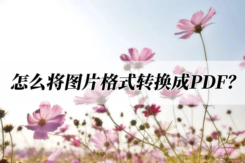 扫描图片转换pdf格式,怎么把图片保存为pdf格式