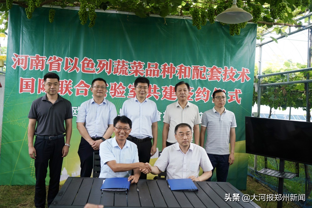 以色列蔬菜品种,以色列农业实验室