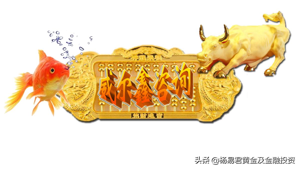 威尔鑫黄金,威尔鑫黄金杨易君分析师