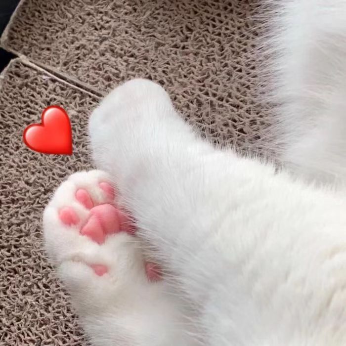 百元防晒,百元内爆款防晒