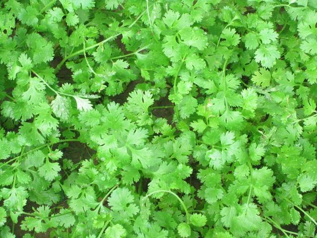 起床后，为何会有口臭呢？医生：教你5个小妙招或许会有效果