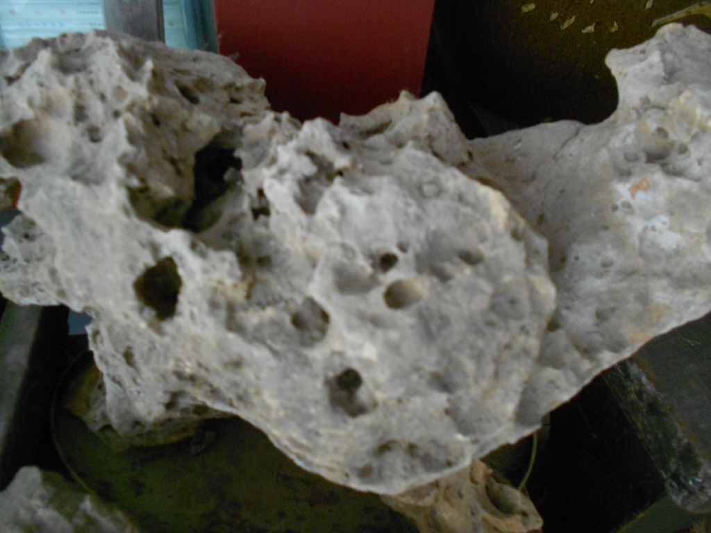 河边捡的哪些石头值得收藏,收藏精品石头