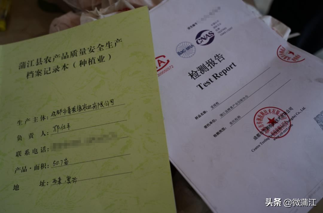 【两个替代，我来说】收购价高达4.5元/斤，高品质果子究竟是如何“炼成”的？