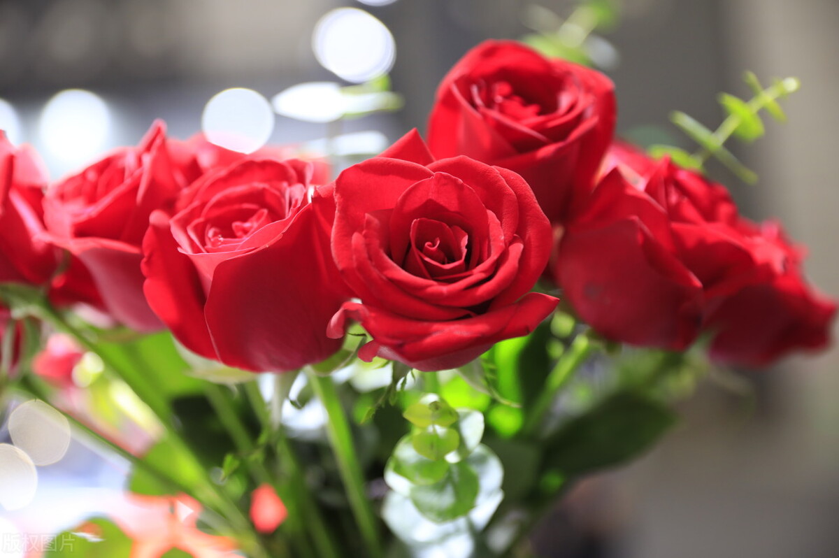 真正有城府的人是怎么说话,城府深的人都会说这三种话