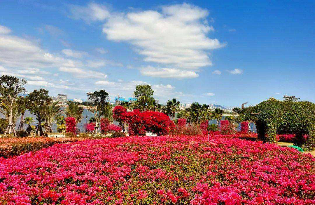 厦门最大免费公园,厦门有没有免费开放的足球场