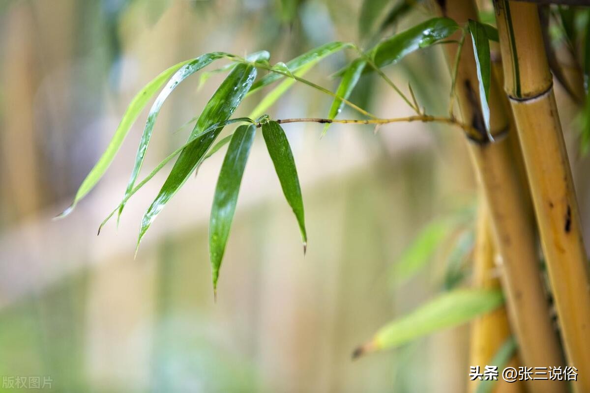 五月十五大端午，记得“端午藏正午，即望莫远游”：有啥说法？