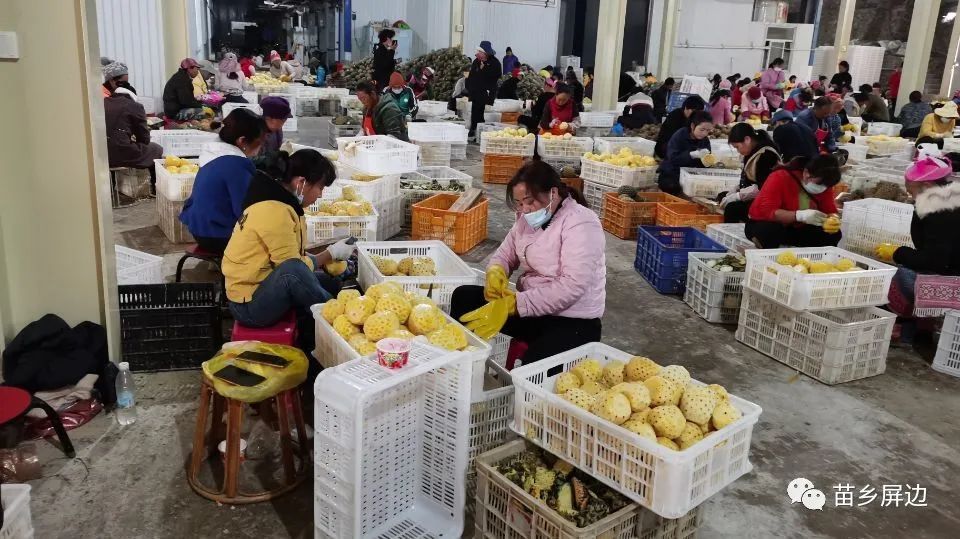 乡村振兴电商脱贫,乡村振兴电商助农黑龙江