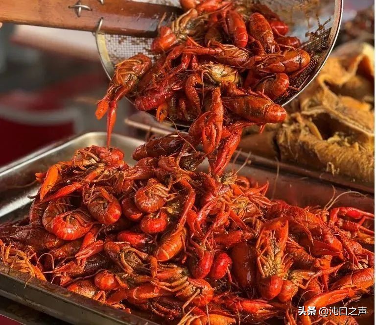 武汉沌口体育中心端午活动,今天沌口体育中心有什么活动